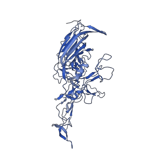 23204_7l6h_2_v1-1
The genome-containing AAV13 capsid