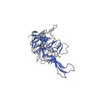 23204_7l6h_3_v1-1
The genome-containing AAV13 capsid