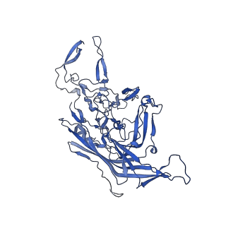 23204_7l6h_5_v1-1
The genome-containing AAV13 capsid