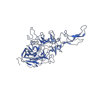 23204_7l6h_6_v1-1
The genome-containing AAV13 capsid