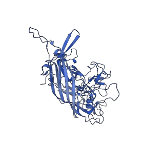 23204_7l6h_7_v1-0
The genome-containing AAV13 capsid