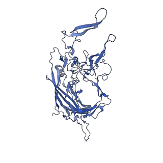 23204_7l6h_8_v1-1
The genome-containing AAV13 capsid