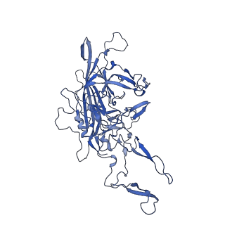 23204_7l6h_A_v1-1
The genome-containing AAV13 capsid