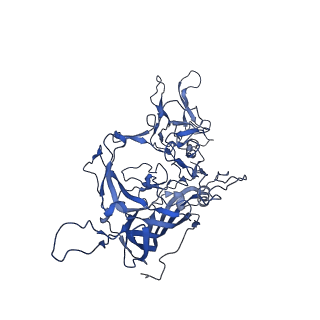 23204_7l6h_C_v1-1
The genome-containing AAV13 capsid