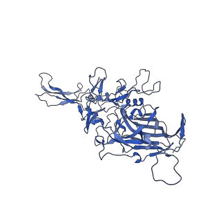 23204_7l6h_D_v1-1
The genome-containing AAV13 capsid