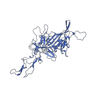 23204_7l6h_E_v1-1
The genome-containing AAV13 capsid