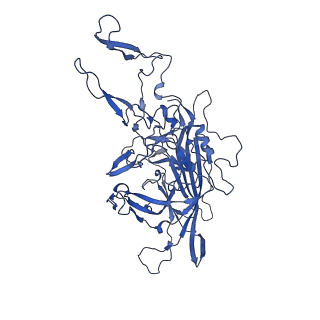 23204_7l6h_F_v1-0
The genome-containing AAV13 capsid