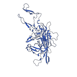 23204_7l6h_F_v1-1
The genome-containing AAV13 capsid