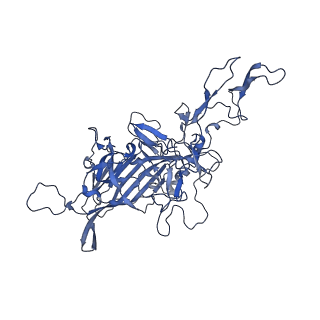 23204_7l6h_G_v1-1
The genome-containing AAV13 capsid