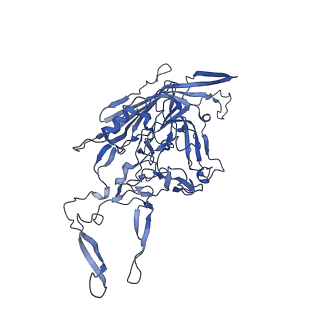 23204_7l6h_H_v1-1
The genome-containing AAV13 capsid