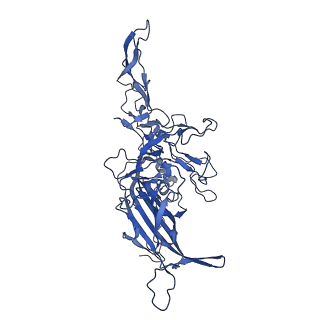 23204_7l6h_J_v1-1
The genome-containing AAV13 capsid