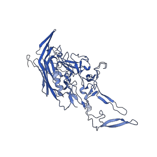 23204_7l6h_K_v1-1
The genome-containing AAV13 capsid