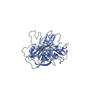 23204_7l6h_L_v1-0
The genome-containing AAV13 capsid