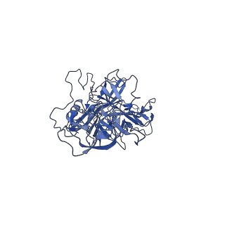 23204_7l6h_L_v1-1
The genome-containing AAV13 capsid