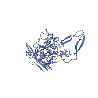 23204_7l6h_M_v1-1
The genome-containing AAV13 capsid