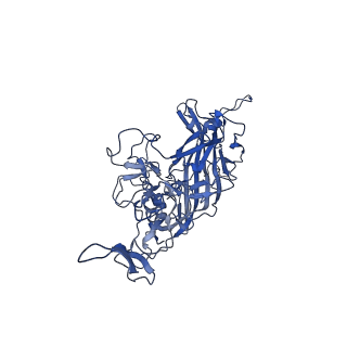 23204_7l6h_N_v1-0
The genome-containing AAV13 capsid