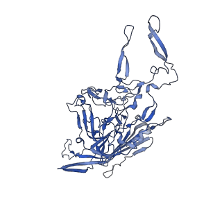 23204_7l6h_P_v1-1
The genome-containing AAV13 capsid