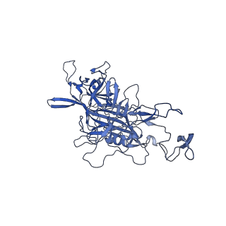 23204_7l6h_Q_v1-1
The genome-containing AAV13 capsid