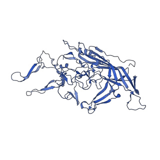 23204_7l6h_R_v1-1
The genome-containing AAV13 capsid