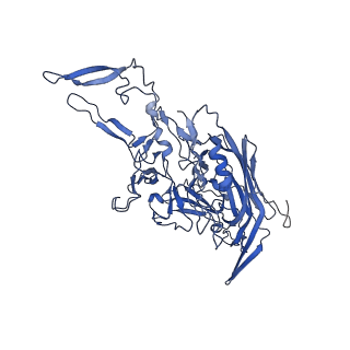 23204_7l6h_T_v1-1
The genome-containing AAV13 capsid