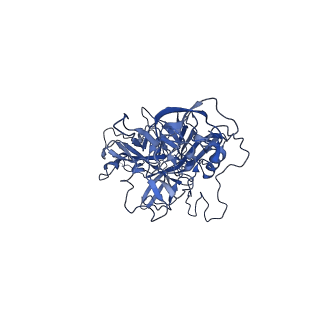 23204_7l6h_U_v1-0
The genome-containing AAV13 capsid