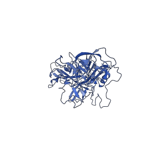 23204_7l6h_U_v1-1
The genome-containing AAV13 capsid