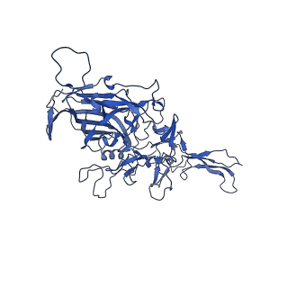 23204_7l6h_W_v1-1
The genome-containing AAV13 capsid