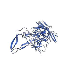 23204_7l6h_X_v1-1
The genome-containing AAV13 capsid