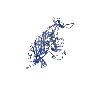 23204_7l6h_Y_v1-1
The genome-containing AAV13 capsid