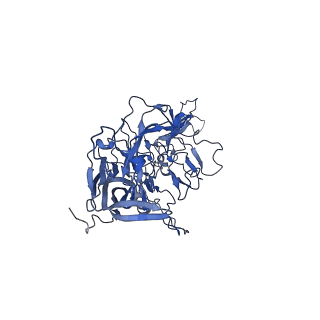 23204_7l6h_a_v1-1
The genome-containing AAV13 capsid