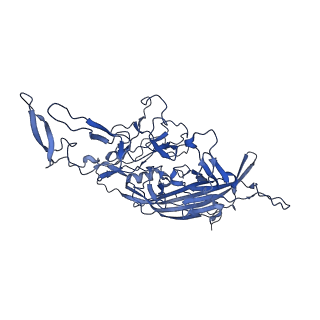 23204_7l6h_b_v1-1
The genome-containing AAV13 capsid