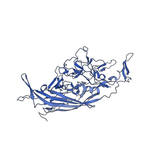 23204_7l6h_c_v1-1
The genome-containing AAV13 capsid