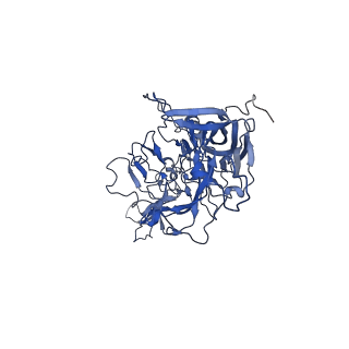 23204_7l6h_d_v1-0
The genome-containing AAV13 capsid