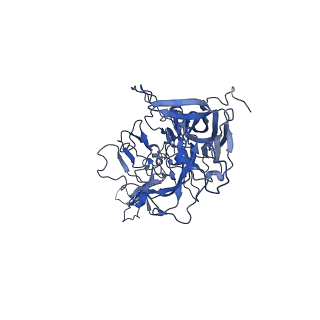 23204_7l6h_d_v1-1
The genome-containing AAV13 capsid