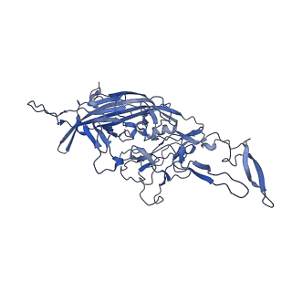 23204_7l6h_e_v1-1
The genome-containing AAV13 capsid