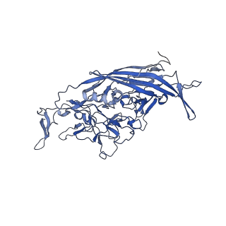 23204_7l6h_f_v1-1
The genome-containing AAV13 capsid