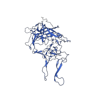 23204_7l6h_g_v1-1
The genome-containing AAV13 capsid