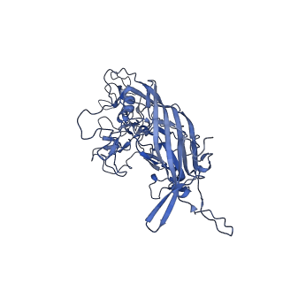 23204_7l6h_i_v1-0
The genome-containing AAV13 capsid