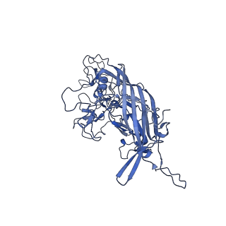 23204_7l6h_i_v1-1
The genome-containing AAV13 capsid