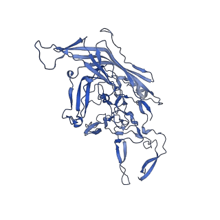 23204_7l6h_j_v1-1
The genome-containing AAV13 capsid