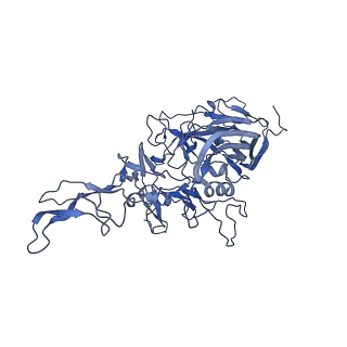 23204_7l6h_k_v1-1
The genome-containing AAV13 capsid