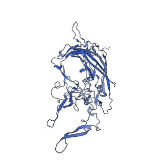 23204_7l6h_l_v1-1
The genome-containing AAV13 capsid