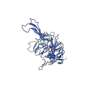 23204_7l6h_n_v1-0
The genome-containing AAV13 capsid