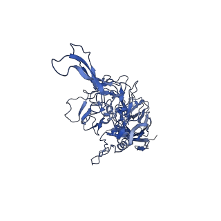 23204_7l6h_n_v1-1
The genome-containing AAV13 capsid