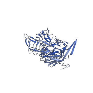 23204_7l6h_o_v1-1
The genome-containing AAV13 capsid