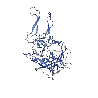 23204_7l6h_p_v1-1
The genome-containing AAV13 capsid