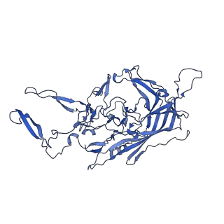 23204_7l6h_q_v1-1
The genome-containing AAV13 capsid