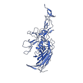 23204_7l6h_r_v1-1
The genome-containing AAV13 capsid