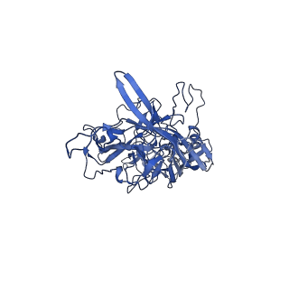 23204_7l6h_s_v1-0
The genome-containing AAV13 capsid