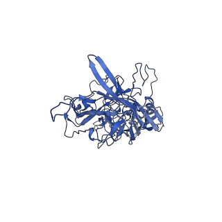 23204_7l6h_s_v1-1
The genome-containing AAV13 capsid